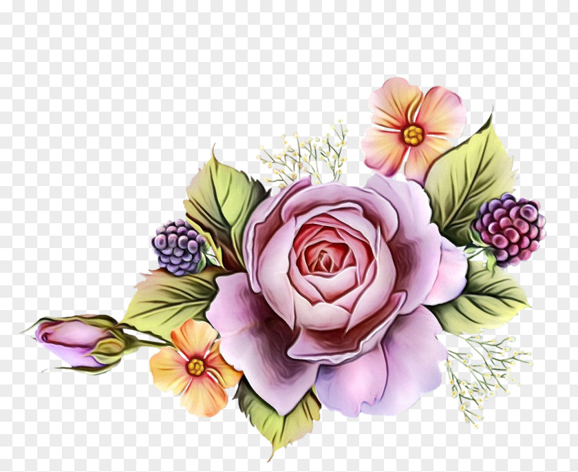 Rose Family Purple Garden Roses PNG