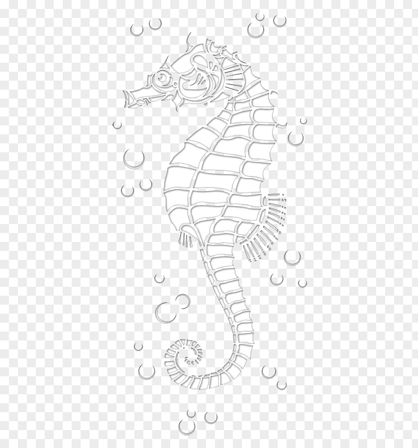 Sea Horse Seahorse Pipefishes And Allies Line Art Sketch PNG