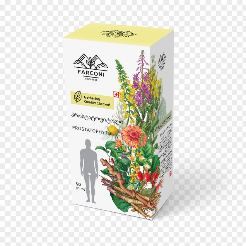 Agrimonia Medicinal Plants Herb Bay Laurel Medicine Floral Design PNG