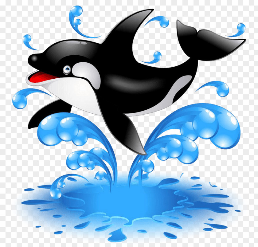 Cartoon Dolphin Killer Whale Stock Photography Illustration Whales Image PNG