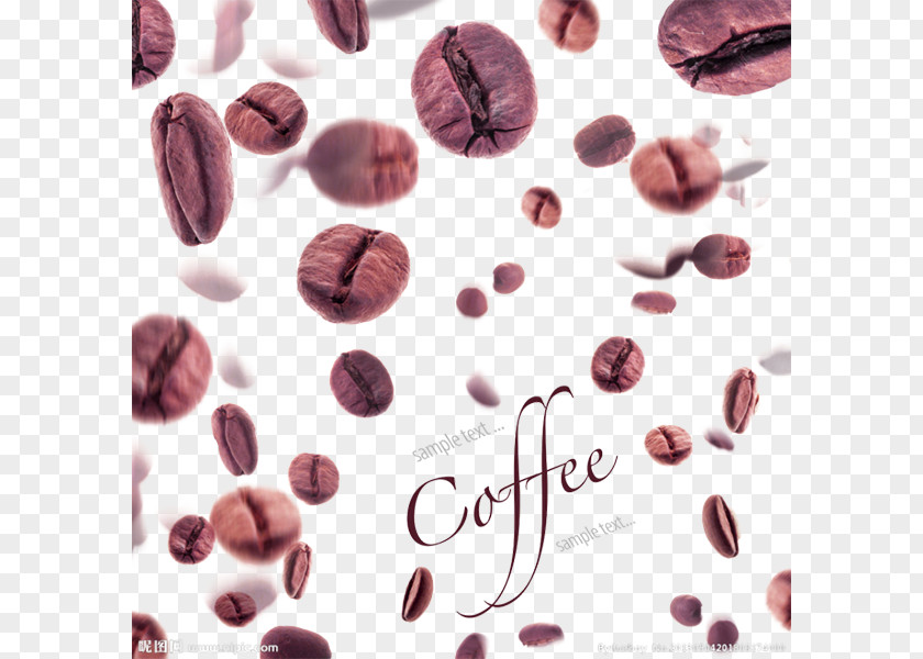 Chocolate Coffee Bean Espresso Caffxe8 Americano Tea PNG