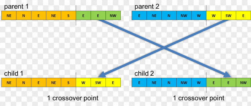 Genetic Algorithm Document Line Angle Brand PNG