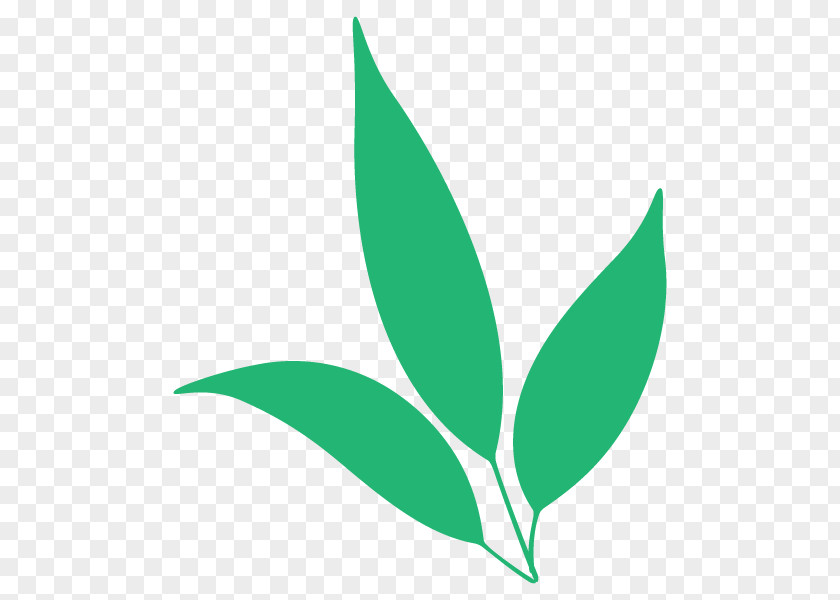 Leaf Clip Art Plant Stem PNG