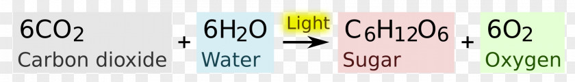 Photosynthesis Light Balance Equation Plant PNG