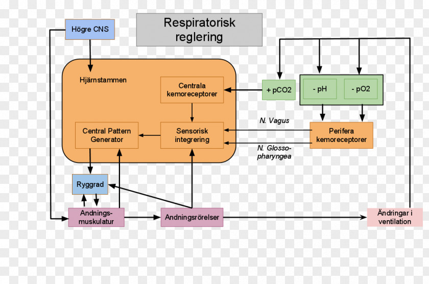 Respirator Product Design Diagram Organization Floor Plan PNG
