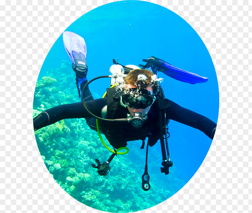 Scuba Diving Underwater Photography Open Water Diver PNG