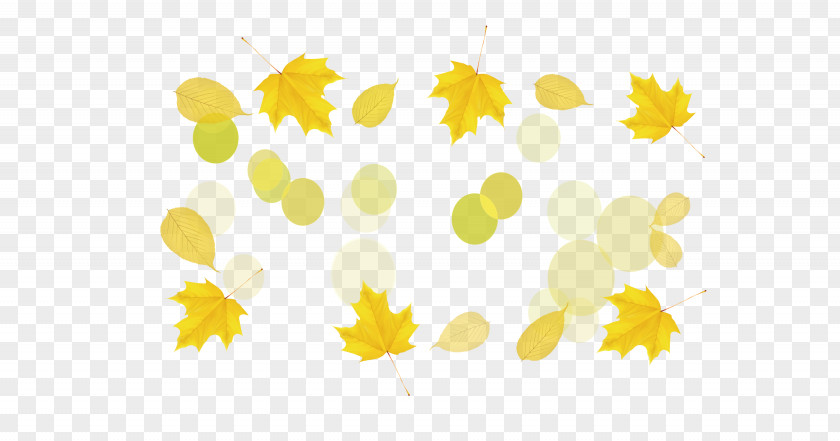Autumn Leaves Petal Pattern PNG