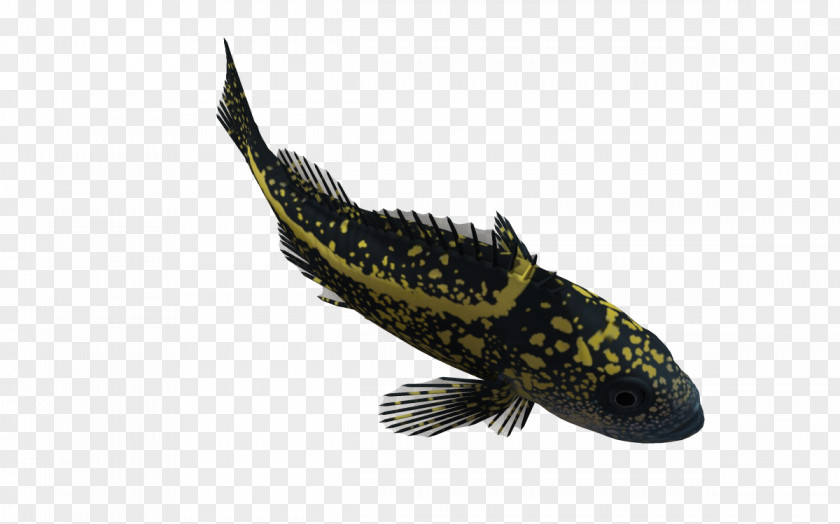 Biological 3d Cartoon Animals 3D Computer Graphics Fish Clip Art PNG