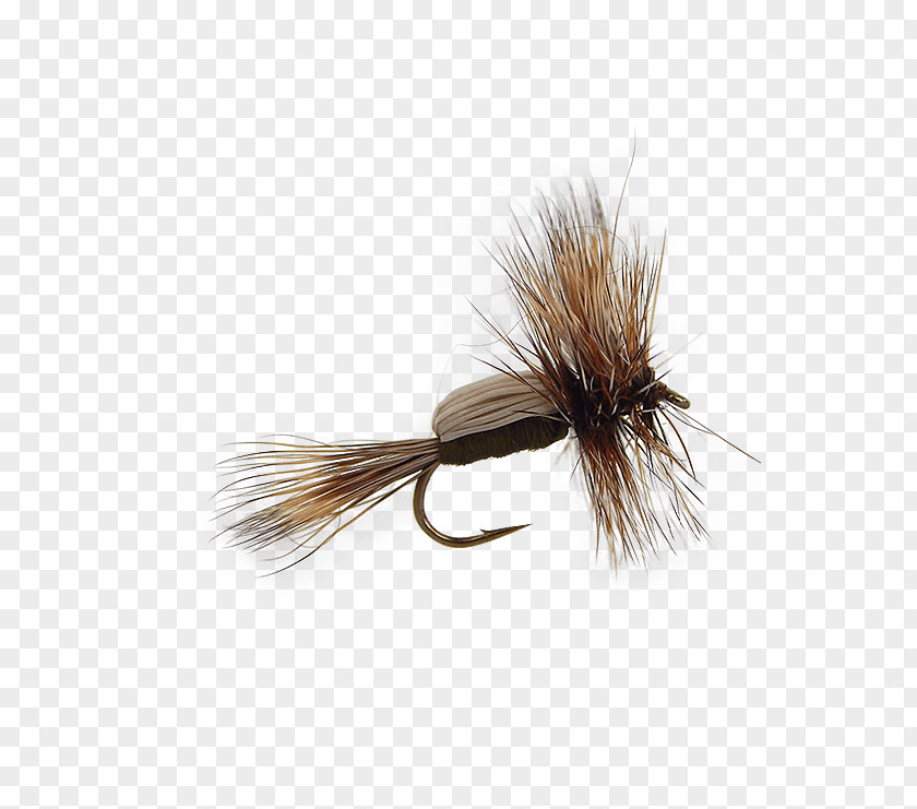 Fly Tying Artificial Insect Nymph Mayfly Fishing PNG