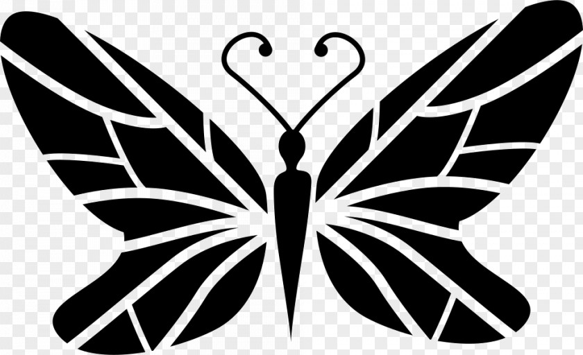 Butterfly Monarch Vector Graphics Image Euclidean PNG