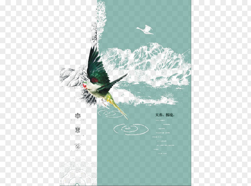 China Wind Flying Illustration Creativity PNG