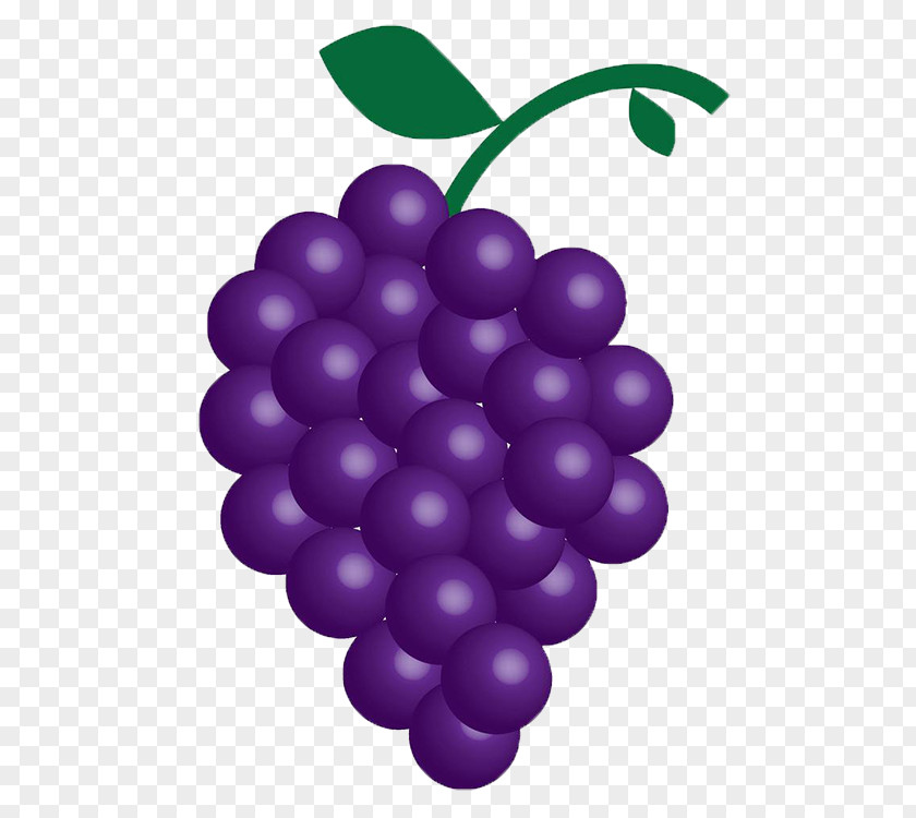 Purple Grapes Free Buckle Map Grape Seed Extract Kyoho Food PNG