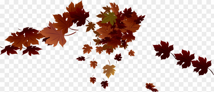 Withered Autumn Leaves Maple Leaf Clip Art PNG