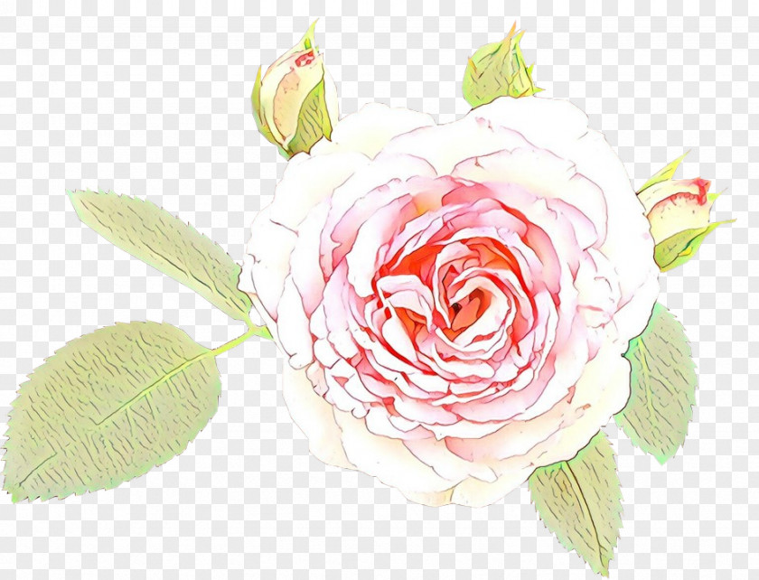 Camellia Floribunda Watercolor Pink Flowers PNG