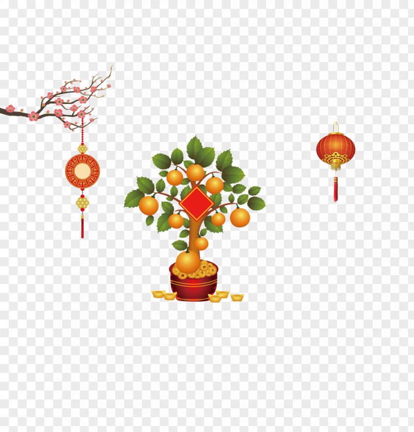 Chinese New Year Festive Lanterns Panama Orange Tangerine Tree PNG