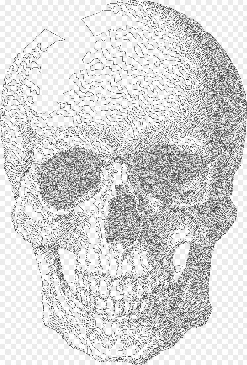 Skull Calavera Drawing Art PNG