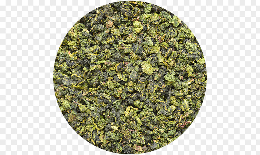 Western Recipes Green Tea Hibiscus Herbal Oolong PNG