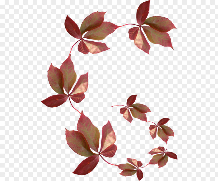 Falling Bamboo Leaves Blog Leaf Treelet PNG