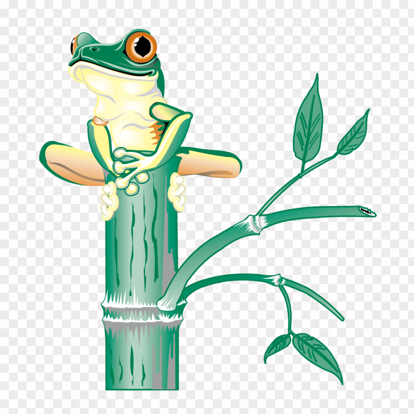 Frog On Branch Tree Clip Art PNG