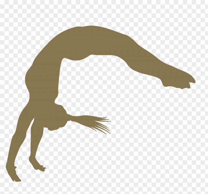 Gymnast Doing Flip Handspring Clip Art Gymnastics Tumbling PNG
