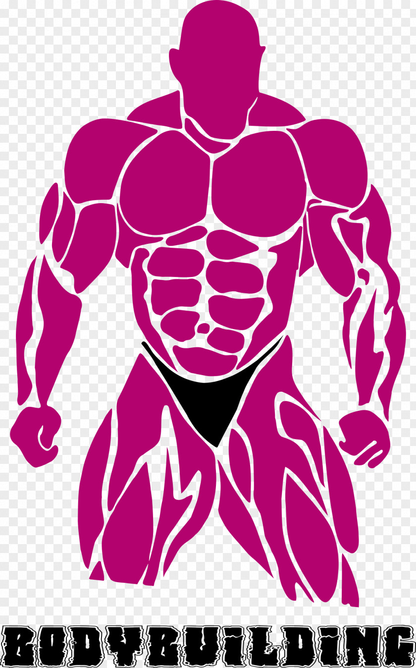 Muscular Man Bodybuilding Fitness Centre Clip Art PNG