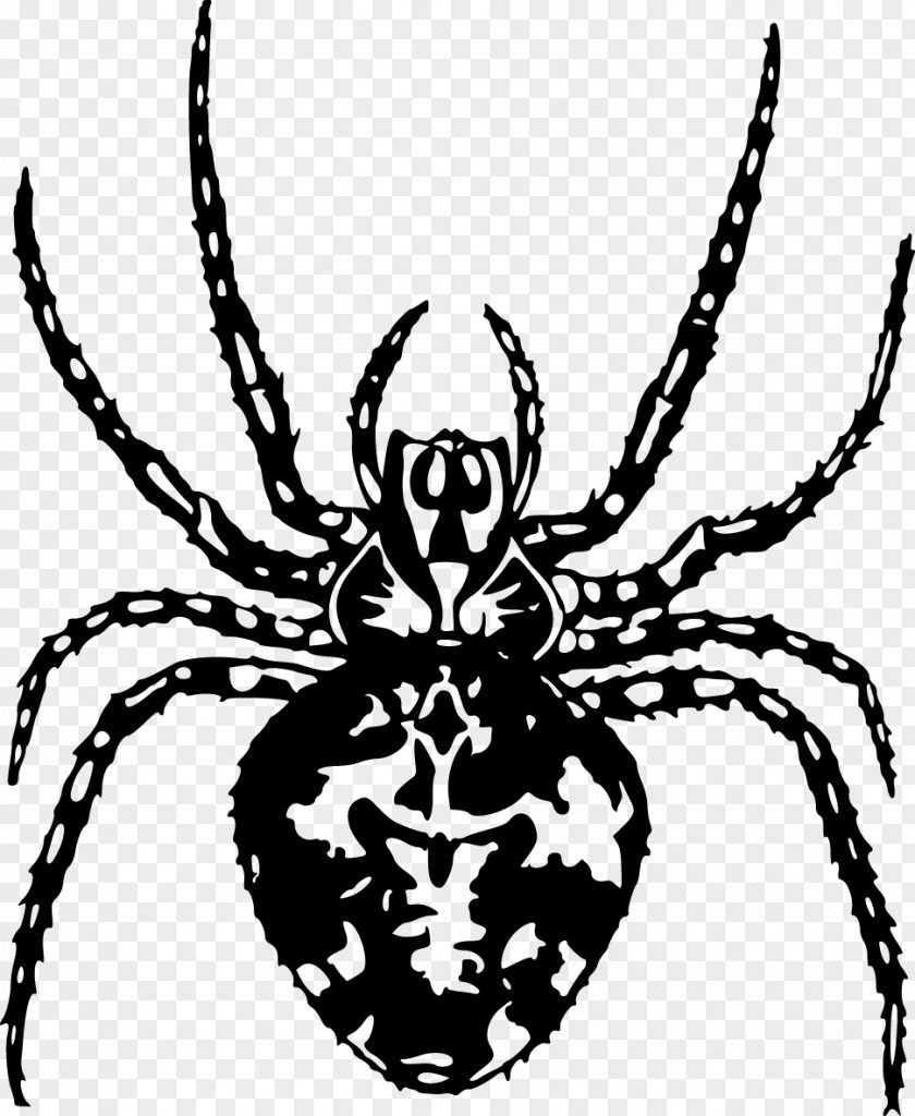 Vector Spider Arthropod Pixabay Illustration PNG