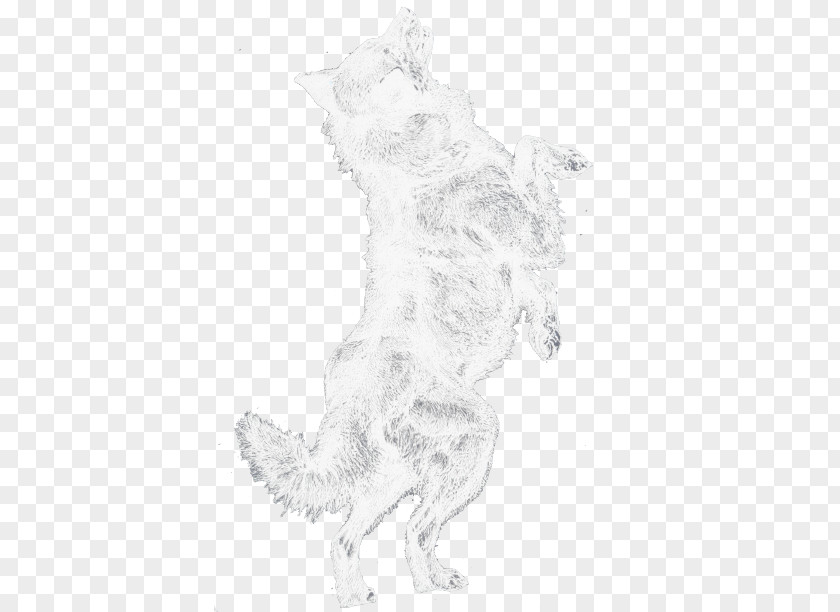 Exotic Cat Breeds Sketch Dog Visual Arts Drawing PNG