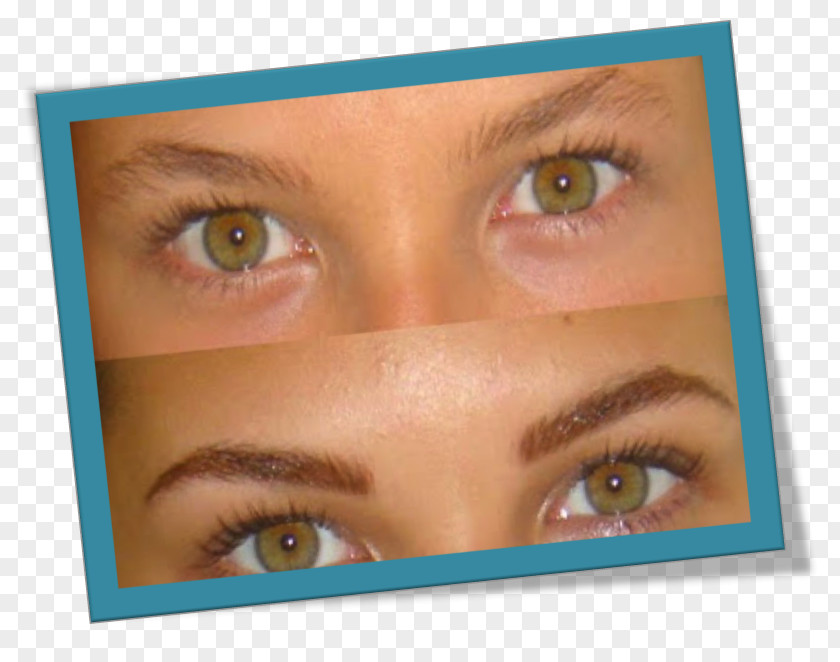Eye Consultorios Dermatològicos Dra. Squaglia Eyebrow Permanent Makeup Make-up PNG
