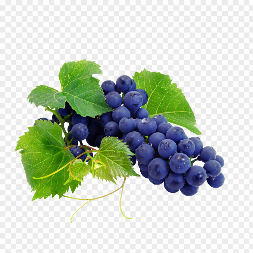 Grape Cabernet Sauvignon Franc Red Wine Somerset Ridge Vineyard & Winery PNG