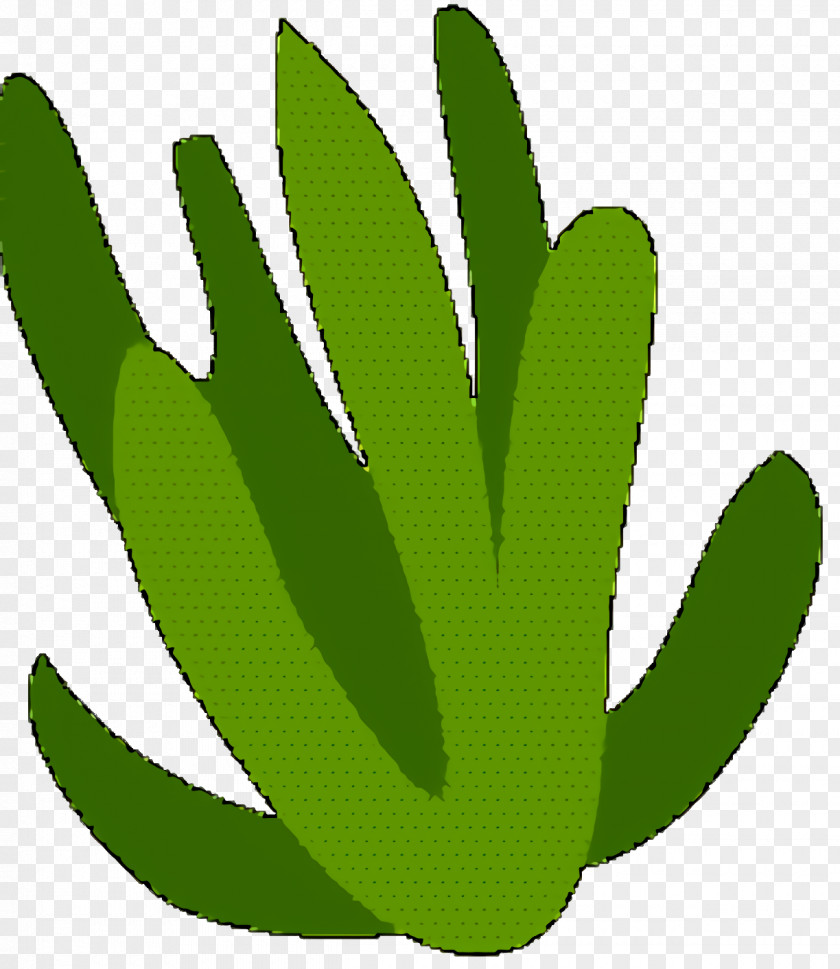 Logo Cactus Green Leaf PNG