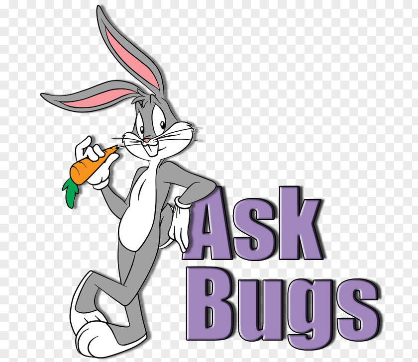 Looney Tunes Bugs Bunny Buster Drawing Rabbit PNG