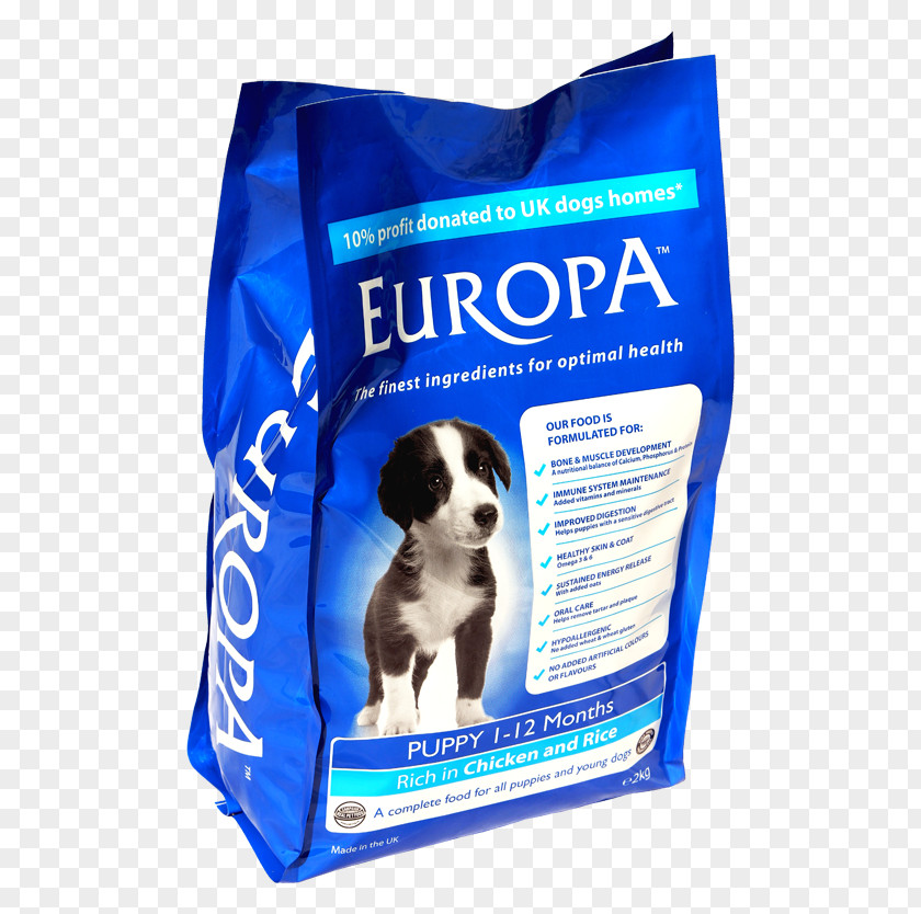 Puppy Dog Food Pet PNG