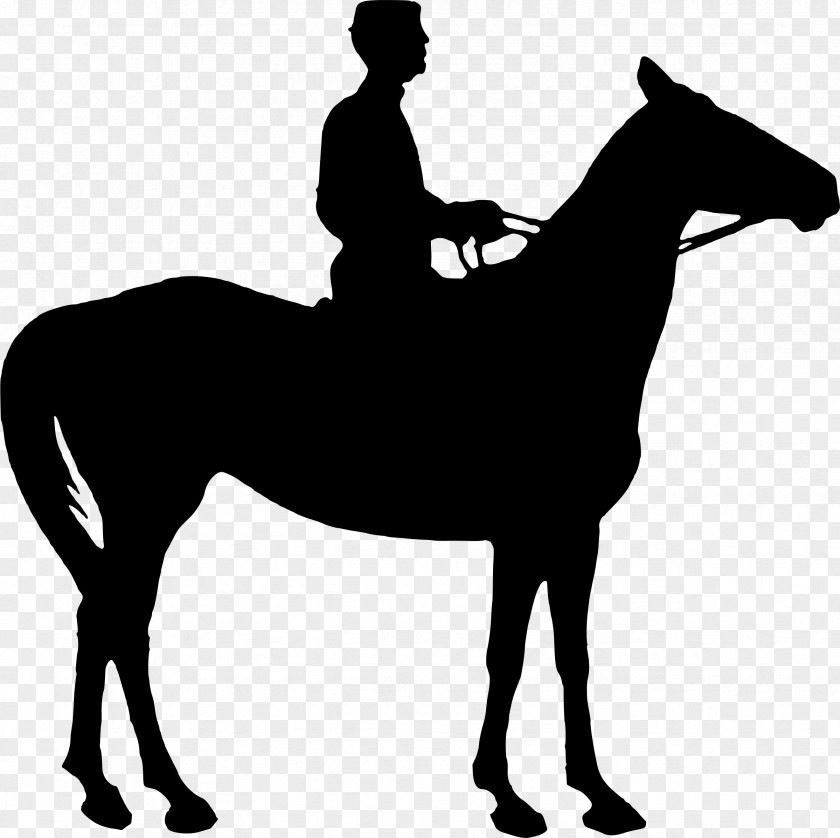 Rider Horse&Rider Equestrian Silhouette Clip Art PNG