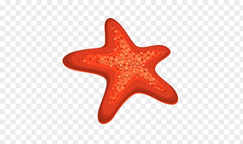 Starfish Download Clip Art PNG