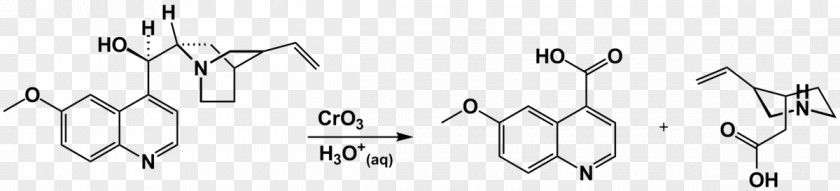 Antioxidant Flavonoid Pro-oxidant Anthocyanin Oxidizing Agent PNG