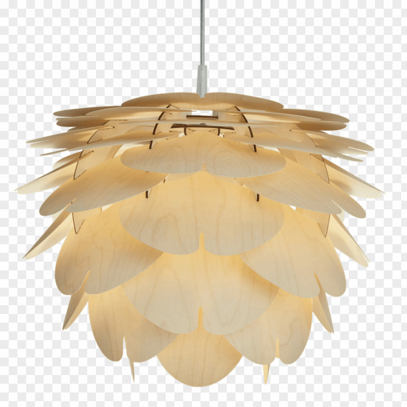 Ceiling Fixture Pendant Light Table Lighting PNG