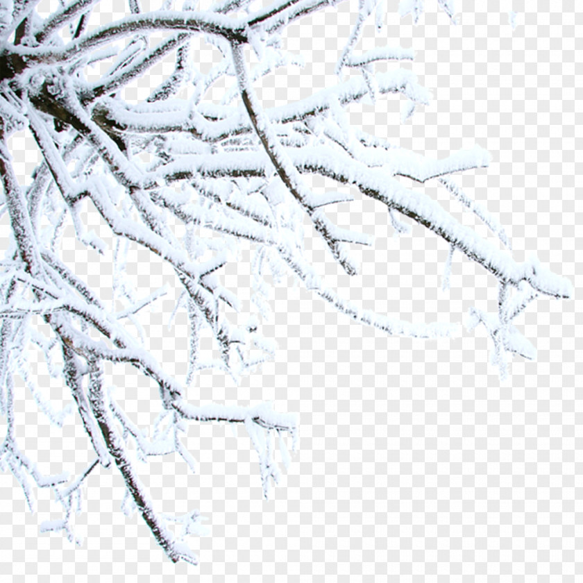 Free Snow Hanging Branches To Pull Material Twig Winter Daxue Clip Art PNG