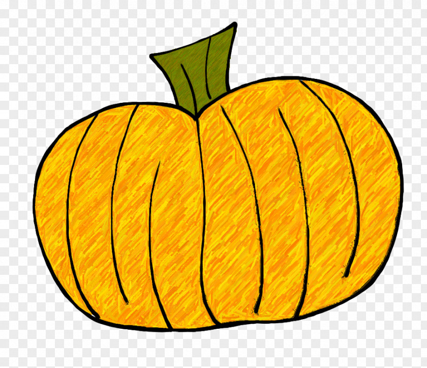 Green Pumpkin Cliparts Calabaza From Seed To Jack-o-lantern Clip Art PNG