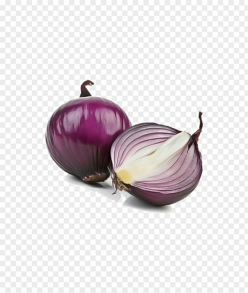 Yellow Onion Allium Red Vegetable Food Violet PNG