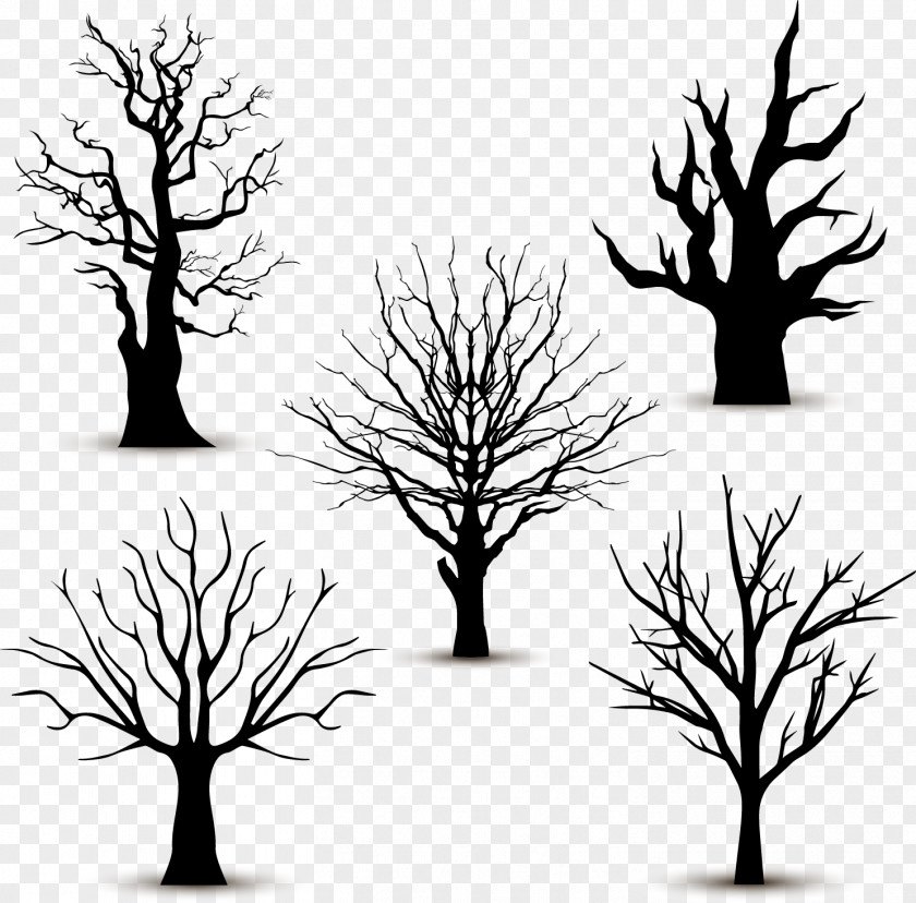 5 Black Trees Without Leaves Vector Tree Silhouette Euclidean PNG