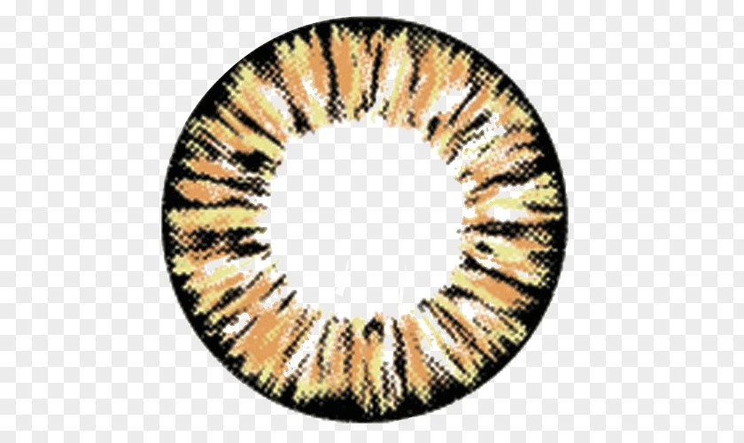 Circle Contact Lens Brown Lenses Color PNG