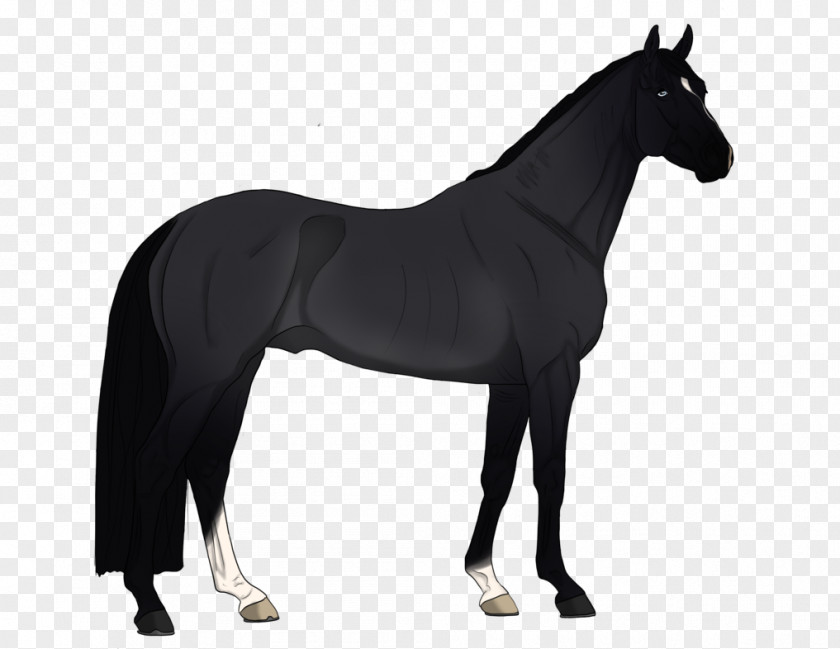 Horse Vector Graphics Royalty-free Cat Stock Photography PNG