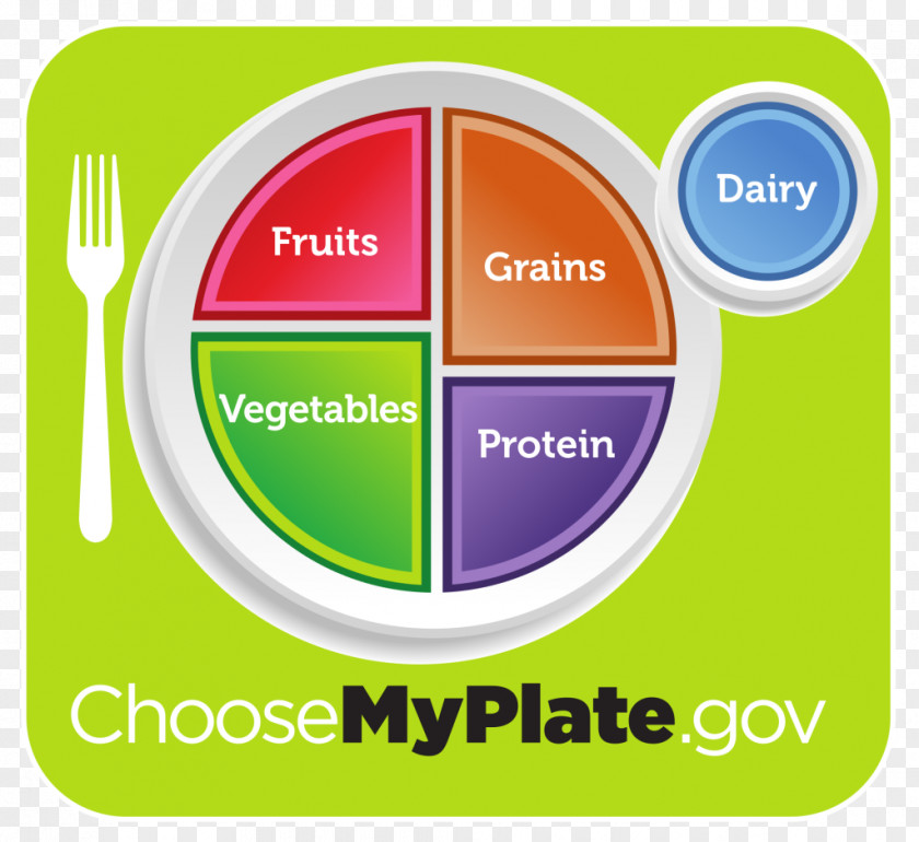 Obesity MyPlate Diet Food Pyramid Nutrition Group PNG