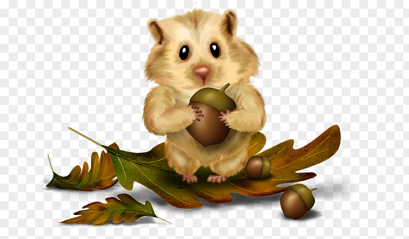 Rodent Red Squirrel Chipmunk Tree PNG squirrel squirrel, sitting cross legged girl clipart PNG