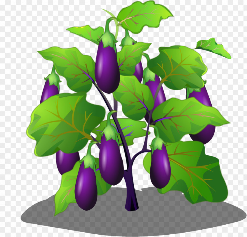 Cartoon Eggplant Tree Vegetable PNG