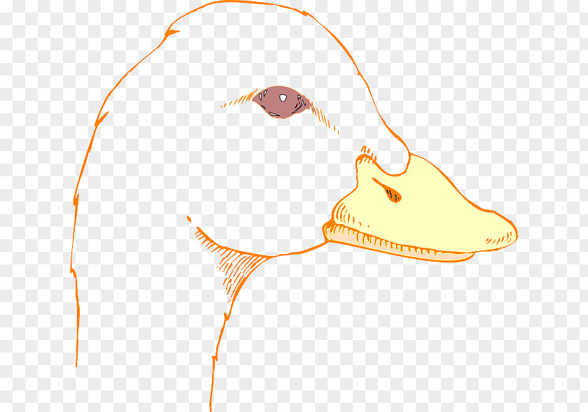 First Aid Kit Duck Bird Mallard Drawing Clip Art PNG