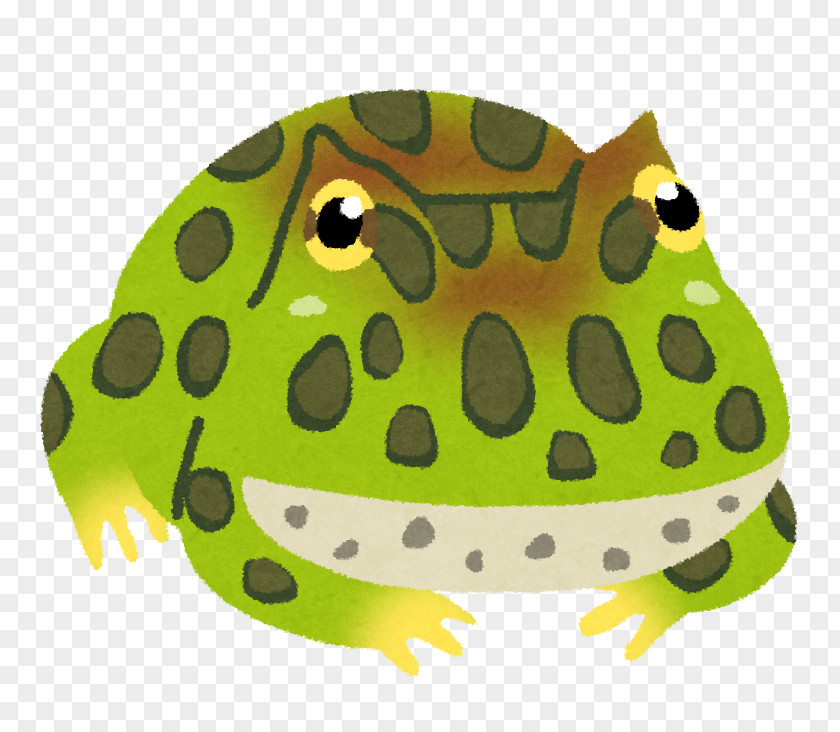 Frog True Argentine Horned いらすとや PNG