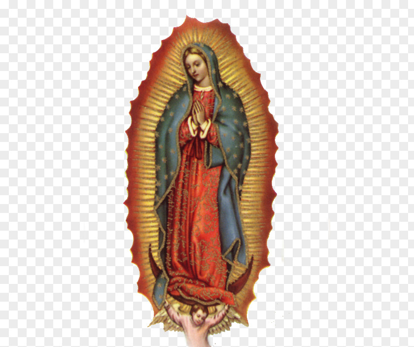 Jaci Blue Our Lady Of Guadalupe Fátima Novena Perpetual Help Religion PNG