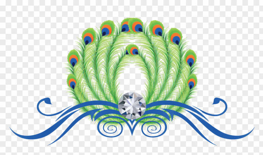 Peafowl Logo Feather PNG
