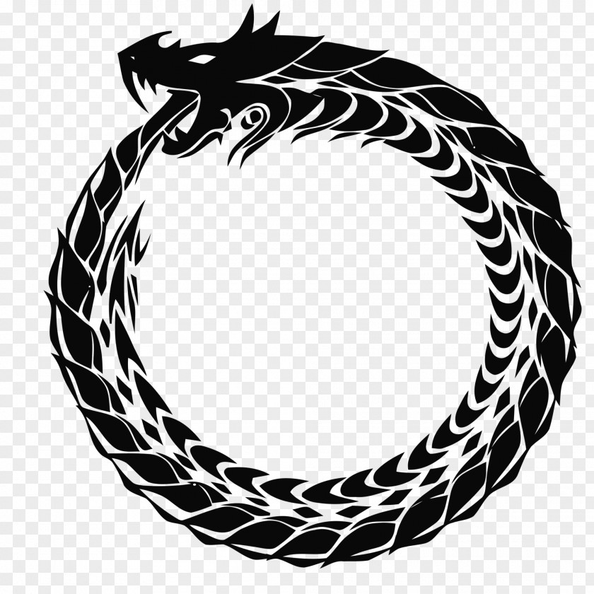 Snake Ouroboros Symbol Clip Art PNG